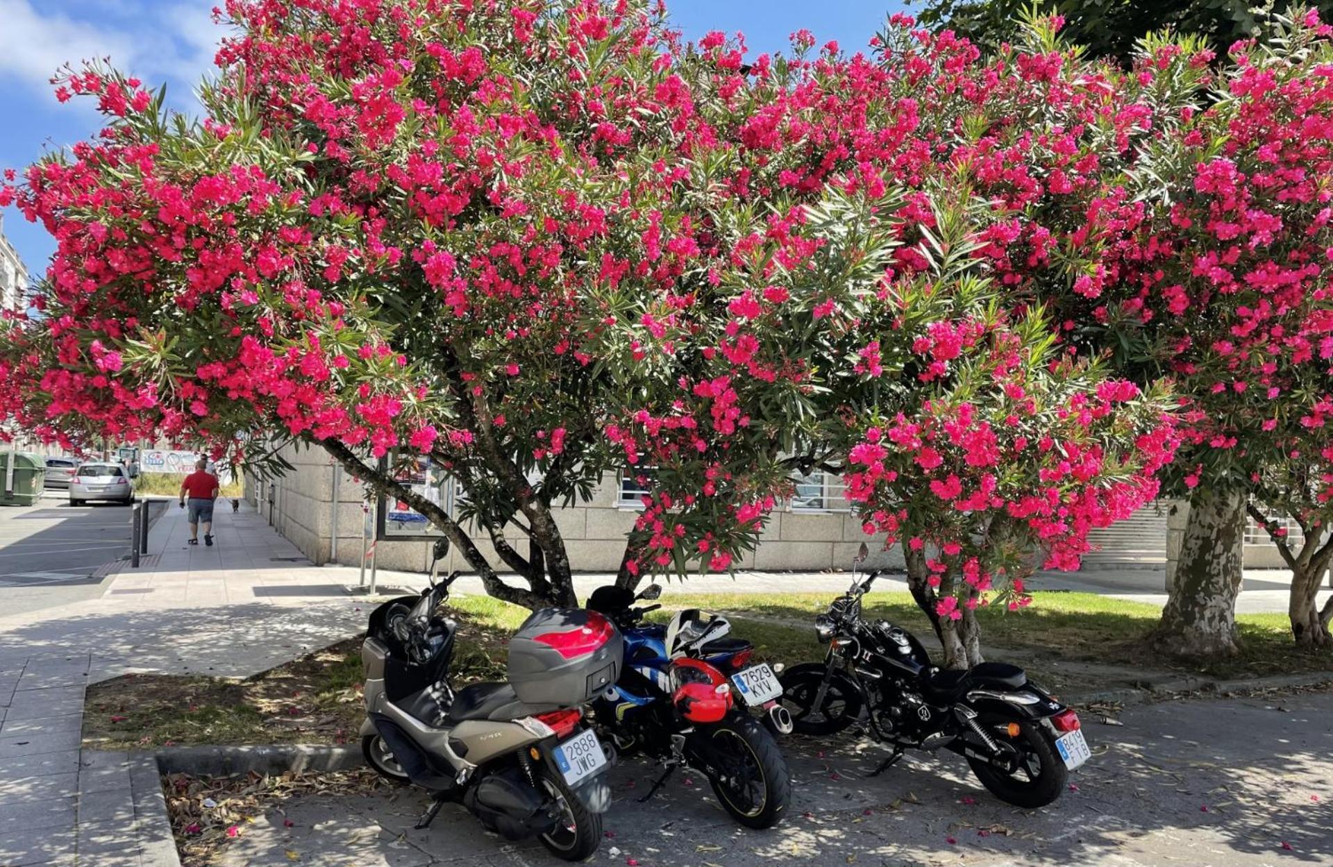 莫阿纳Atico Deluxe Muy Cerca De La Playa, Parking Gratis公寓 外观 照片